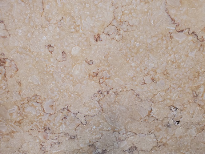 Top 50 mẫu đá marble vàng sò đẹp nhất