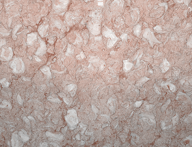 Đá marble hồng sò vân đá đặc biệt