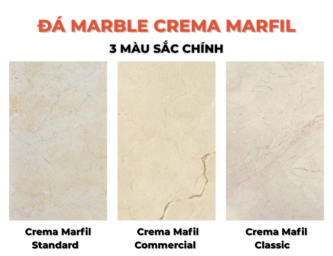 Đá Marble Crema Marfil có nhiều tông màu khác nhau nhưng phổ biến nhất là 3 loại