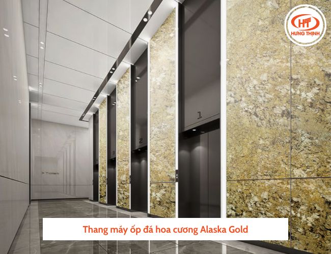 Thang máy ốp đá Alaska Gold tiết kiệm chi phí.
