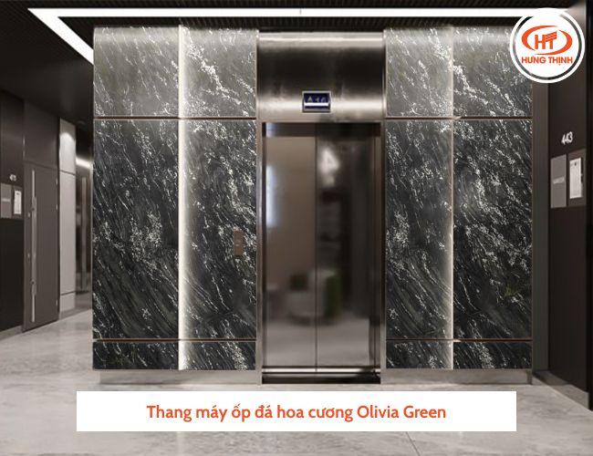 Ốp mặt thang máy bằng đá Granite Olivia Green tạo hiệu ứng mạnh mẽ. 