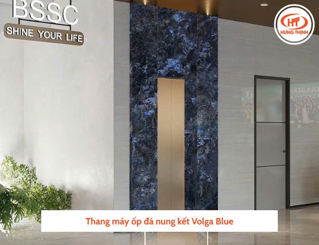 Tông màu nổi bật ốp thang máy cũng được các gia chủ ưa chuộng. 