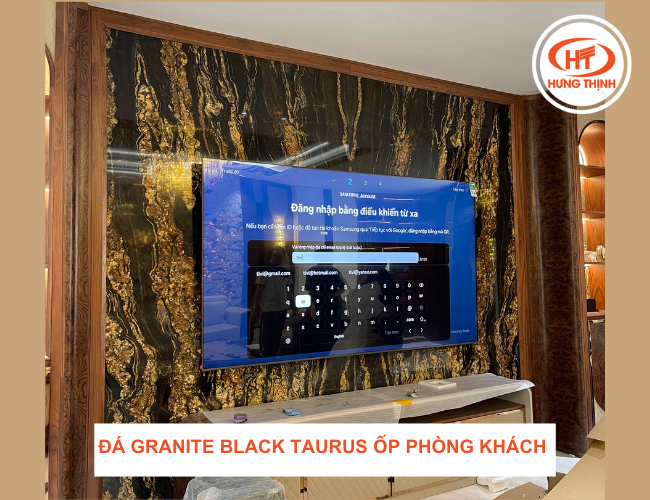Mẫu đá ốp tường phòng khách đẹp dùng đá hoa cương Black Taurus ốp vách Tivi