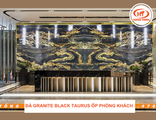 Đá Granite Black Taurus đối vân ốp tường phòng khách