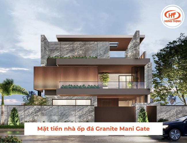 Mẫu đá xám hoa cương ốp nhà sang trọng. 